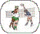 [icons/volleyball_icon.gif]